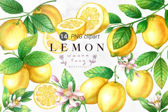 Download Lemon Fruit Watercolor Clipart, PNG - Fruit Collection